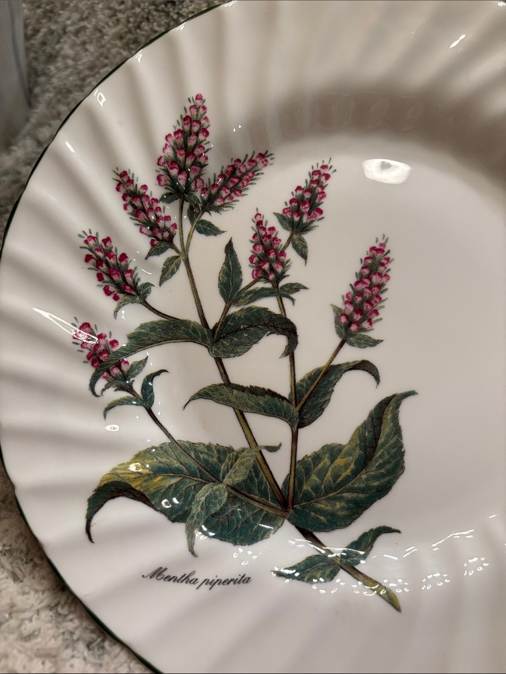 Royal Patrician Fine Bone China Pink Botanical Serve Dish England NWT 8” - Picture 14 of 14
